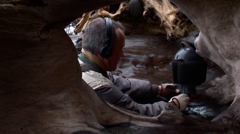 Gordon records inside a cave opening.
